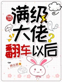当满级大佬翻车以后