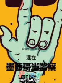 混在墨西哥当警察