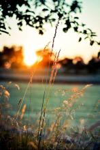 舂风桃花山垭文集