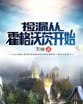 捡漏从霍格沃茨开始