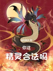 你这精灵,合法吗