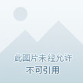我在云上世界嘎嘎囤货