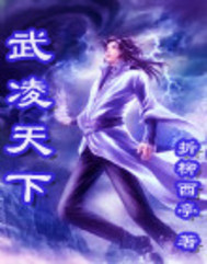 武凌天下