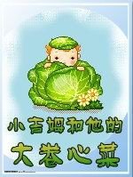 小吉姆和他的大卷心菜