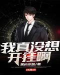 我真没想开挂啊