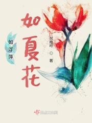 如浮萍如夏花