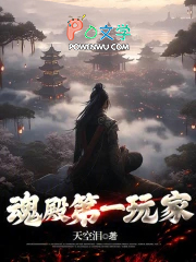 魂殿第一玩家