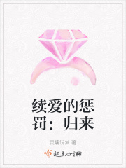 续爱的惩罚:归来