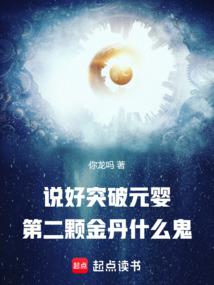 说好突破元婴,第二颗金丹什么鬼