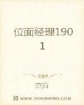 位面经理1901