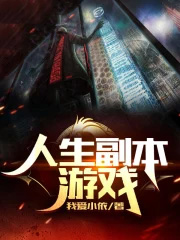 人生副本游戏