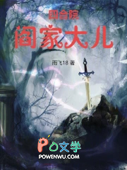 四合院:阎家大儿