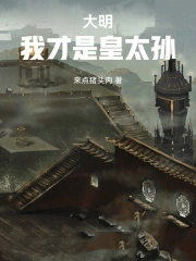 大明：我才是皇太孙