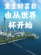 重生财富自由从世界杯开始