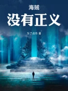 海贼:没有正义