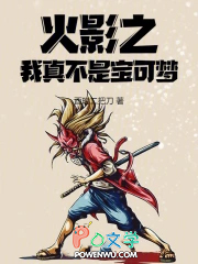 火影之我真不是宝可梦