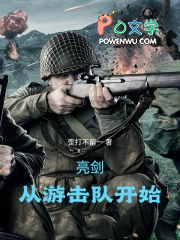 亮剑,从游击队开始