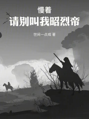 慢着,请别叫我昭烈帝