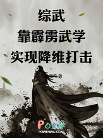 综武：靠霹雳武学实现降维打击