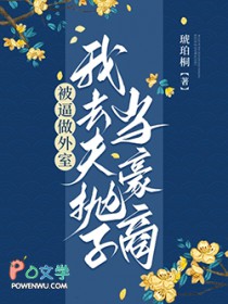 被逼做外室，我去夫抛子当豪商