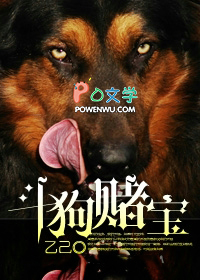 斗狗赌宝
