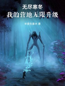 无尽寒冬:我的营地无限升级