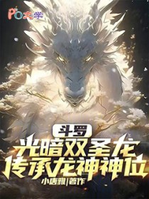 斗罗:光暗双圣龙,传承龙神神位