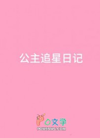 公主追星日记