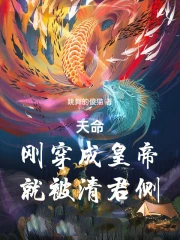 天命：刚穿成皇帝，就被清君侧