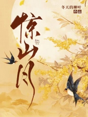 惊山月