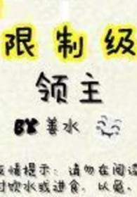 限制级领主