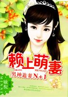 男神追妻N加1:赖上萌妻