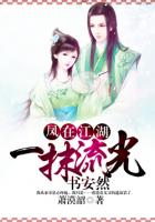 凤在江湖:一抹流光书安然