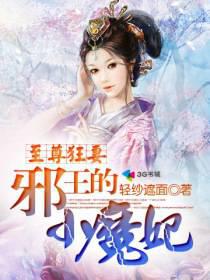 至尊狂妻:邪王的小魔妃