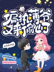 绝世偷心贼