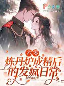 六零,炼丹炉成精后的发疯日常
