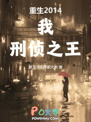 重生2014:我,刑侦之王