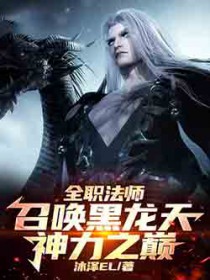 全职法师:召唤黑龙天,神力之巅