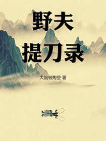 野夫提刀录