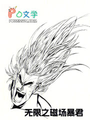 无限之磁场暴君
