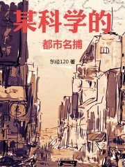 某科学的都市名捕
