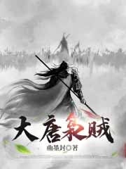 大唐枭贼