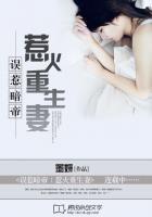 误惹暗帝:惹火重生妻