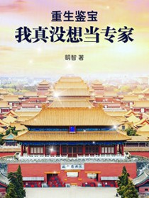 重生鉴宝:我真没想当专家