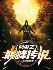 网游之巅峰传说
