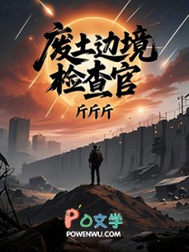 废土边境检查官