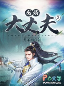 龙婿大丈夫2