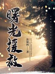 沪上萤火卫疆明