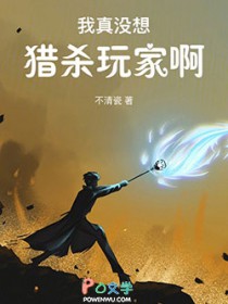 我真没想猎杀玩家啊