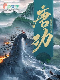 唐功（已改名：隋唐上将军）